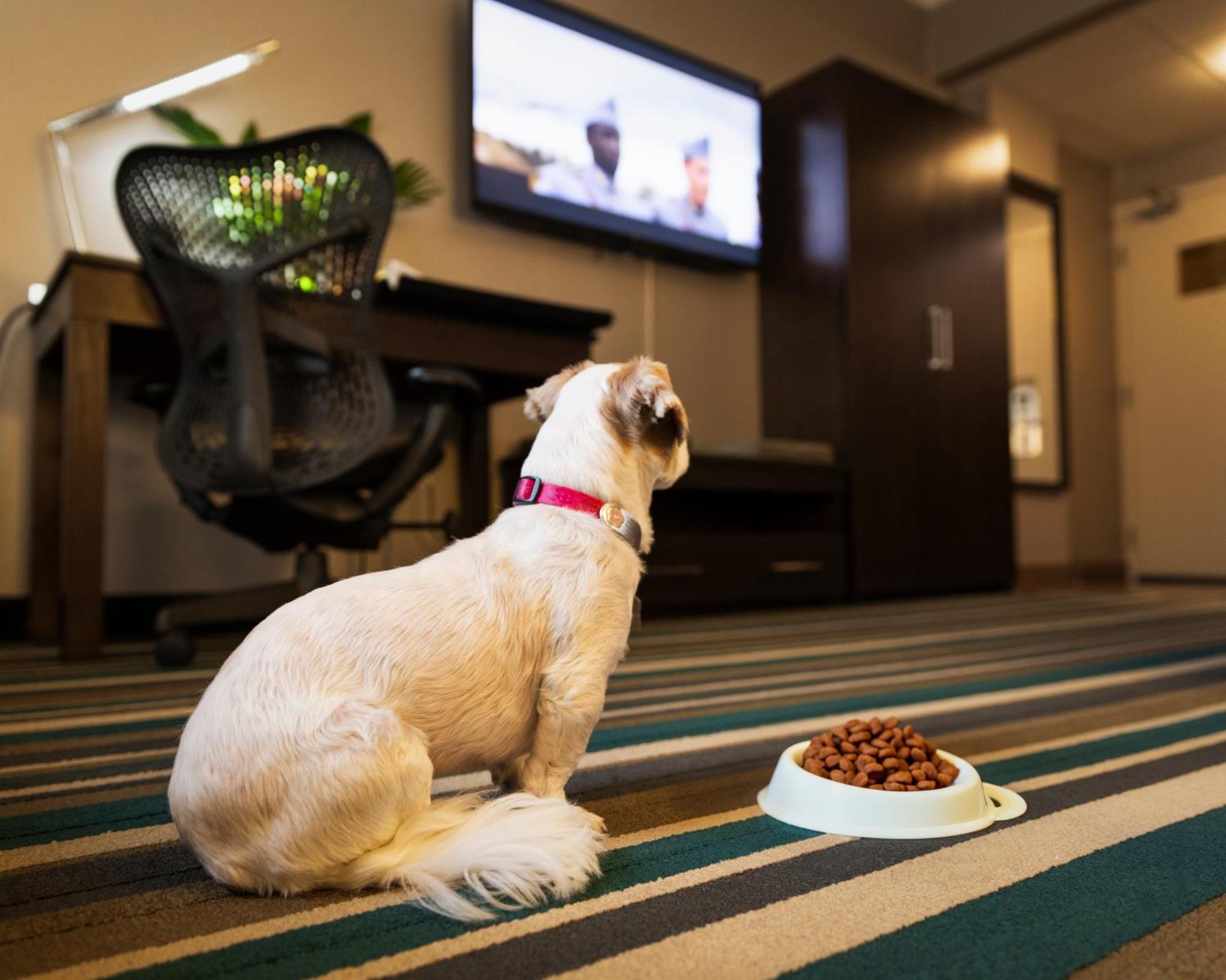 Hotel Blackfoot Calgary Luaran gambar